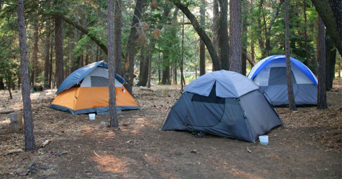 Albany Camping Guide Campgrounds In The Albany Area And Throughout NYS